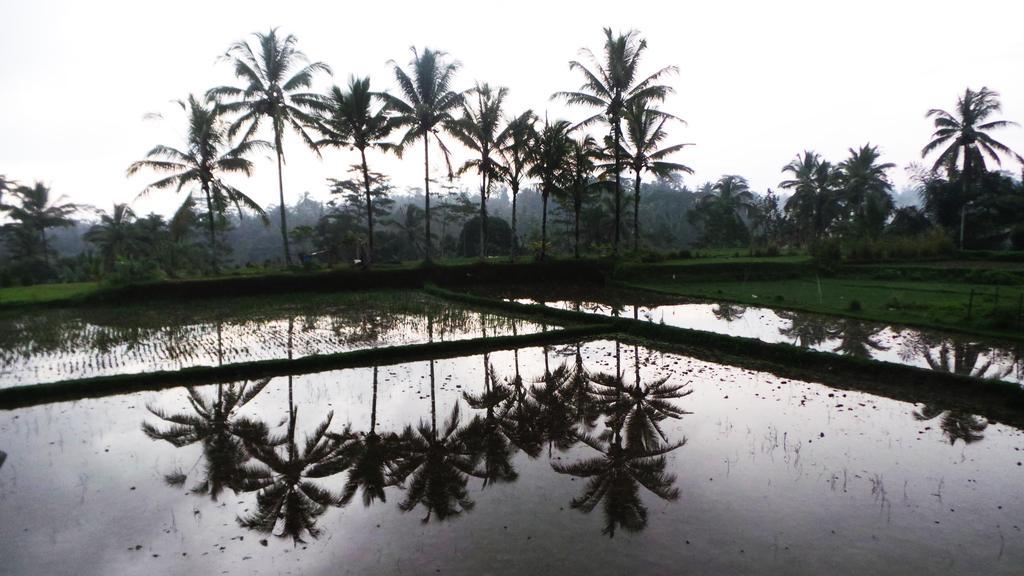 Villa Kemuning Tegallalang  Luaran gambar