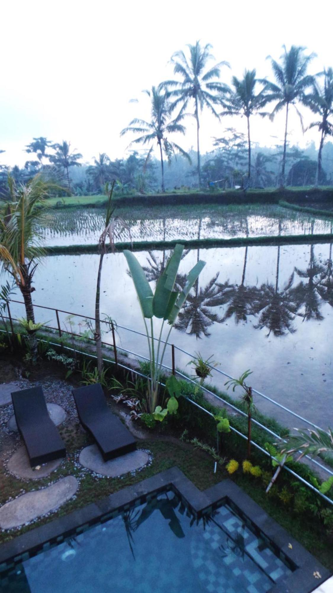 Villa Kemuning Tegallalang  Bilik gambar