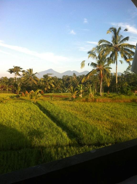 Villa Kemuning Tegallalang  Luaran gambar